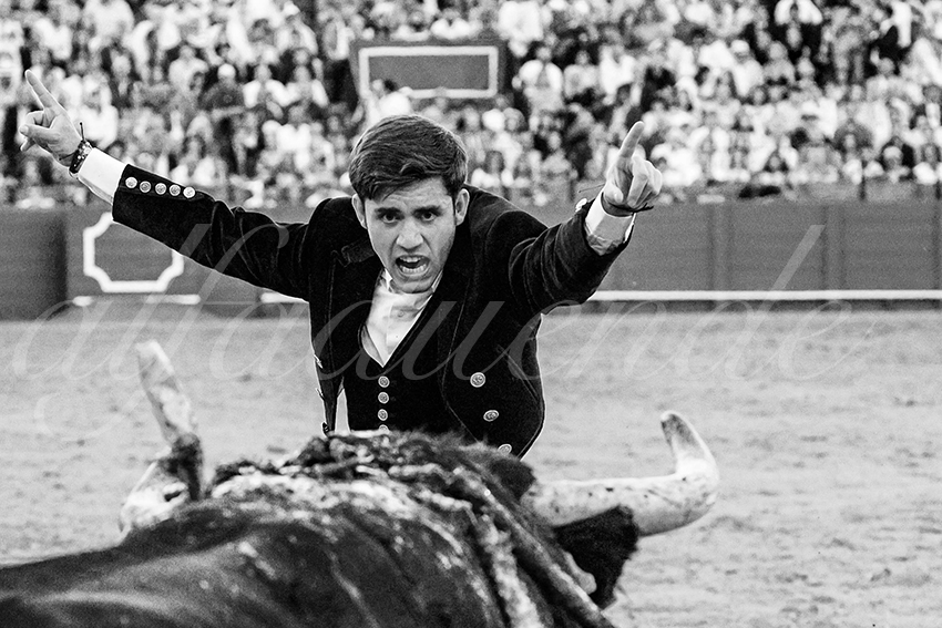 20230423 sevilla 018