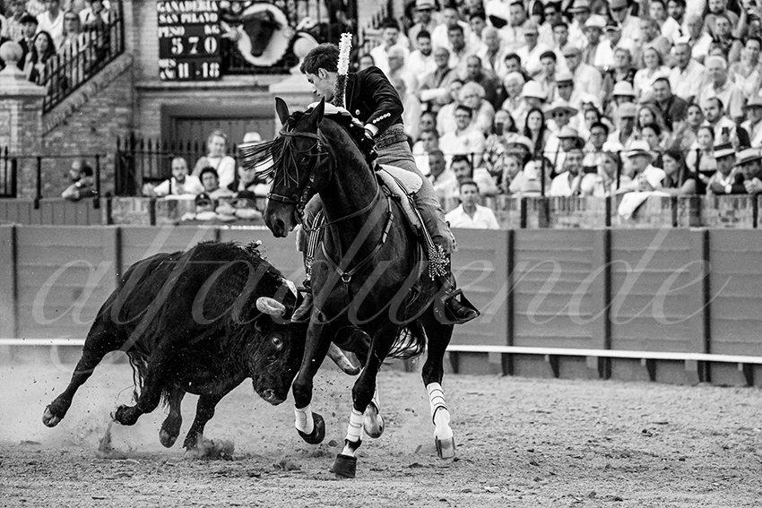 20230423 sevilla 016