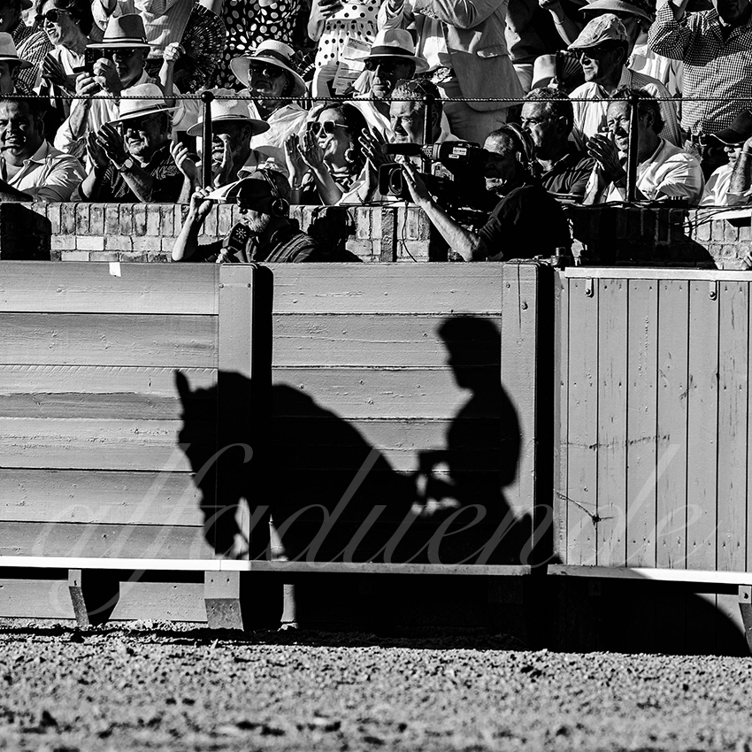 20230423 sevilla 015