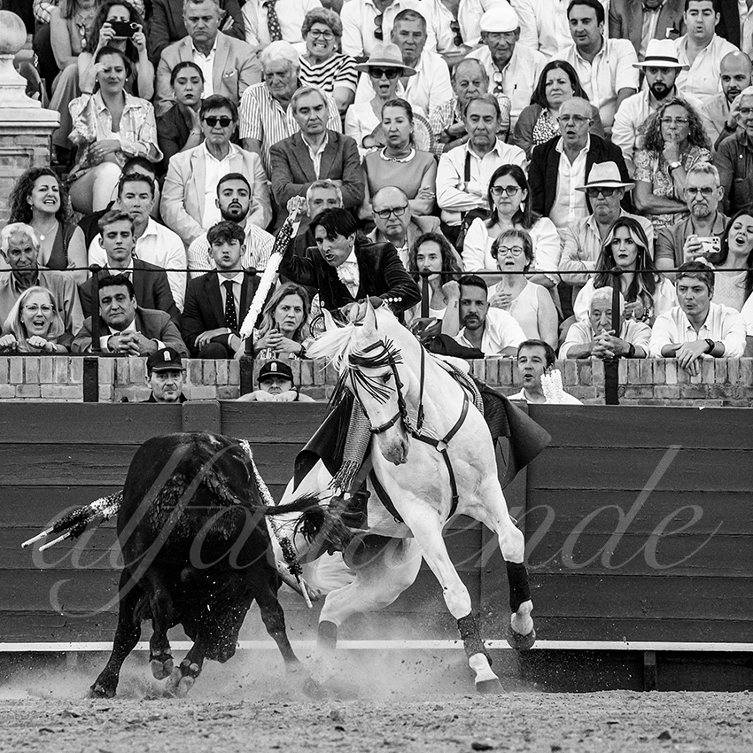 20230423 sevilla 012