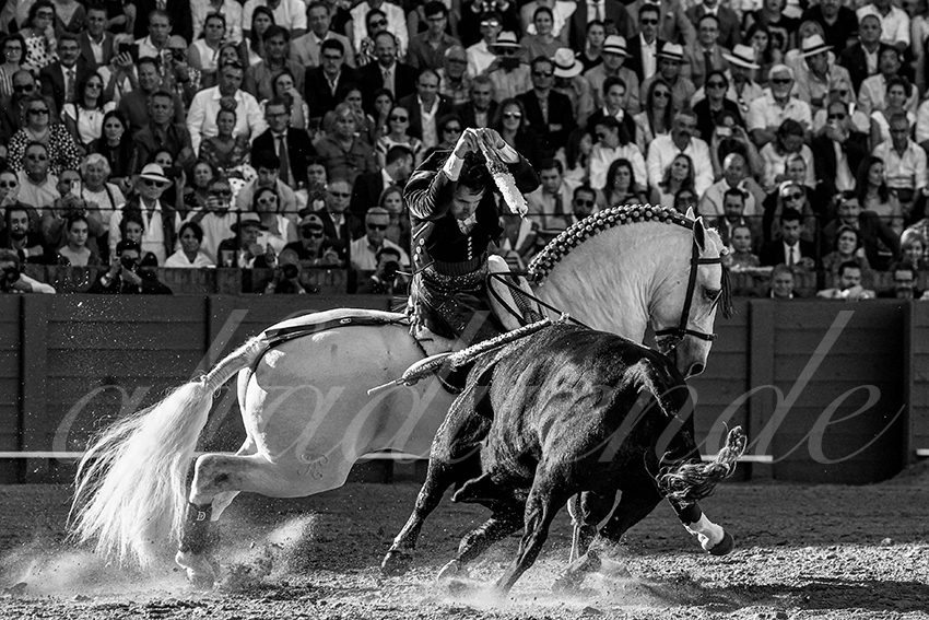 20230423 sevilla 009