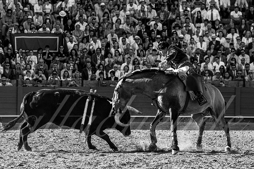 20230423 sevilla 008