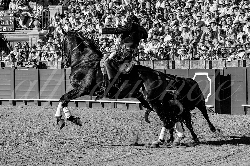 20230423 sevilla 006