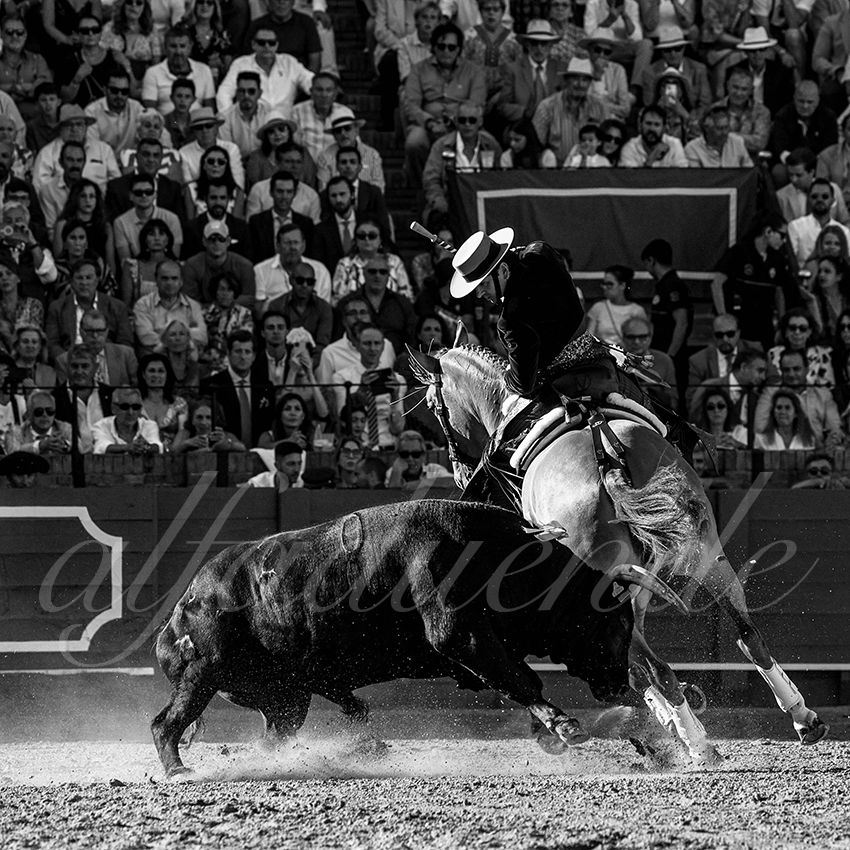 20230423 sevilla 005