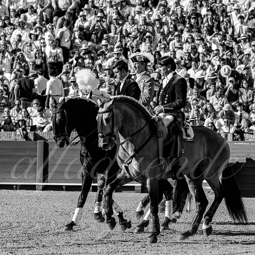 20230423 sevilla 001