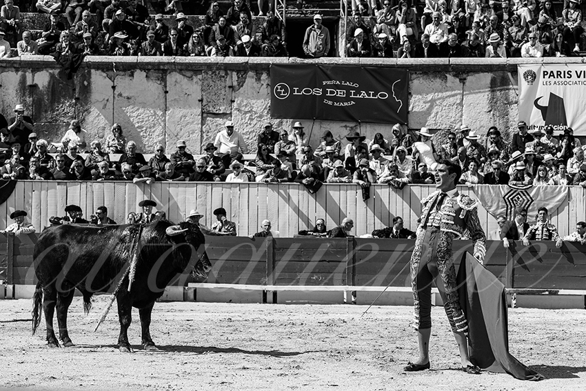 20230409 nov arles 015