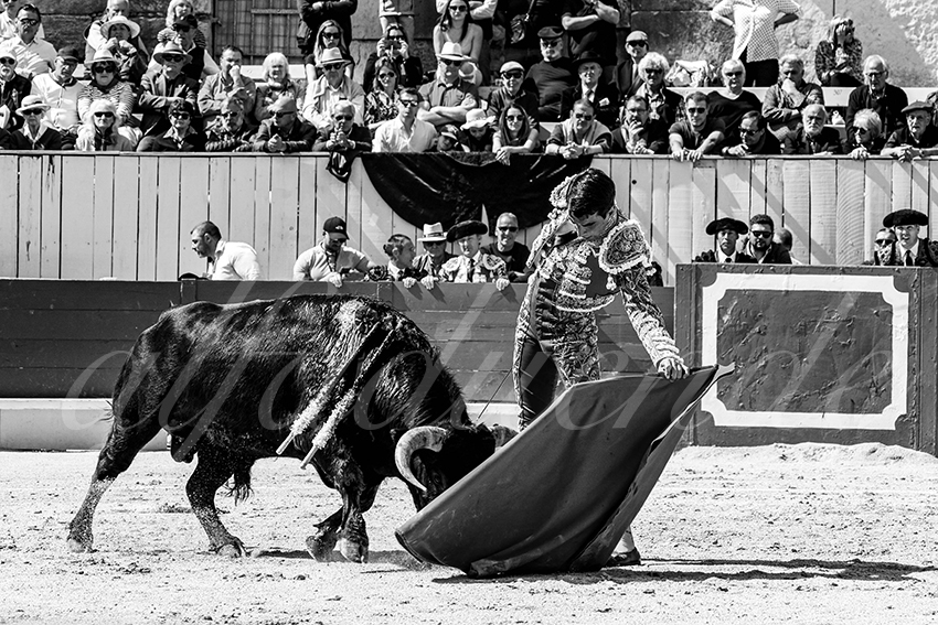 20230409 nov arles 014