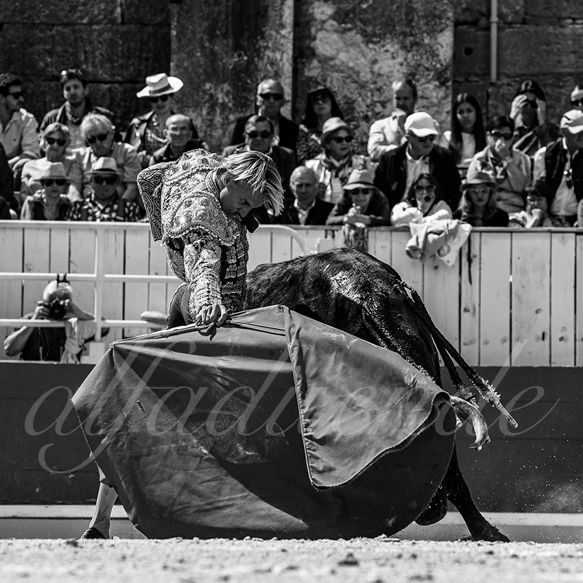 20230409 nov arles 012