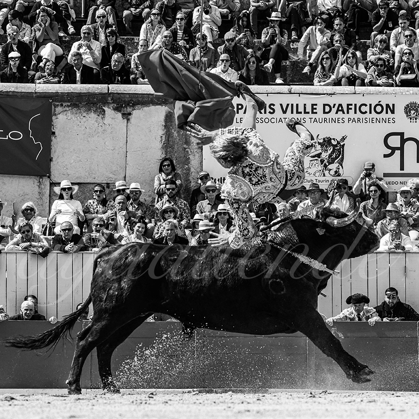 20230409 nov arles 011