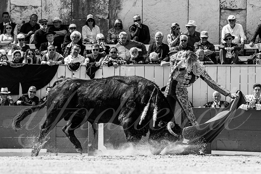 20230409 nov arles 010