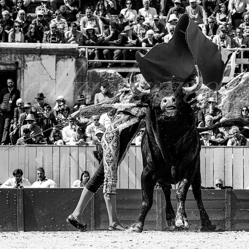 20230409 nov arles 009