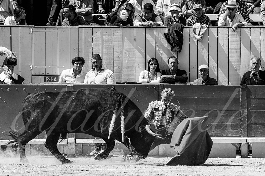 20230409 nov arles 008