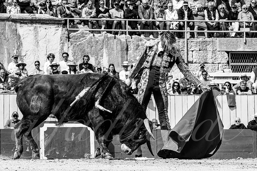 20230409 nov arles 007