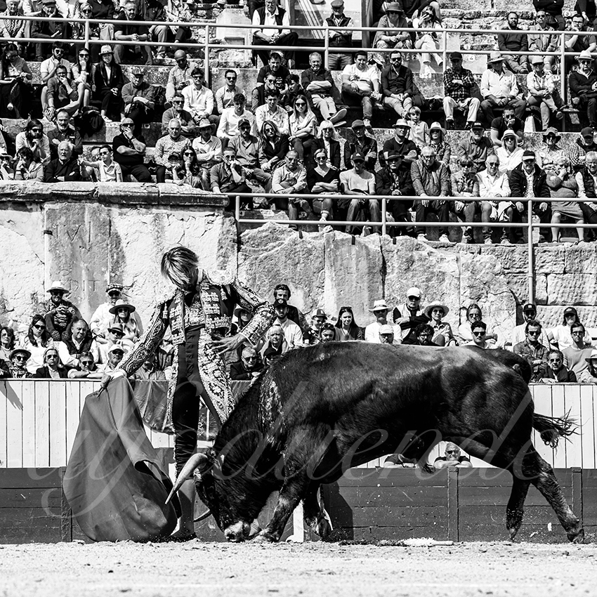 20230409 nov arles 006