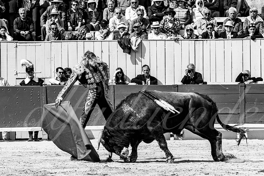 20230409 nov arles 004