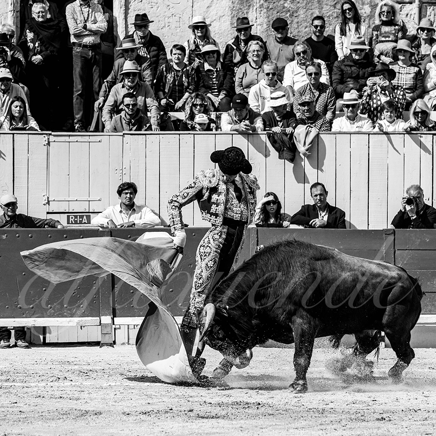 20230409 nov arles 003