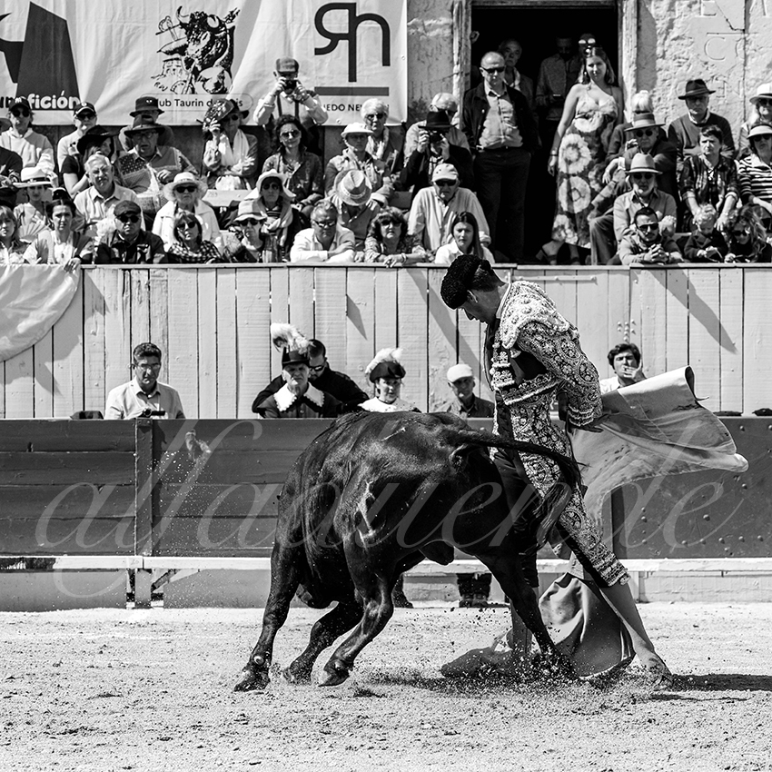 20230409 nov arles 002