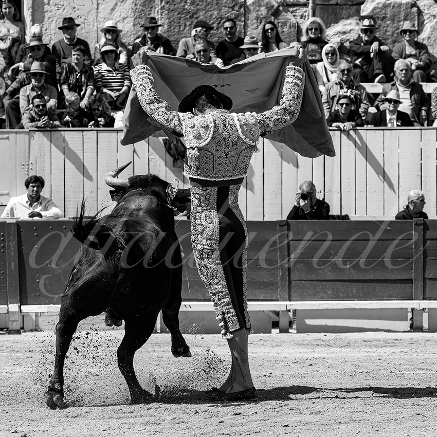 20230409 nov arles 001