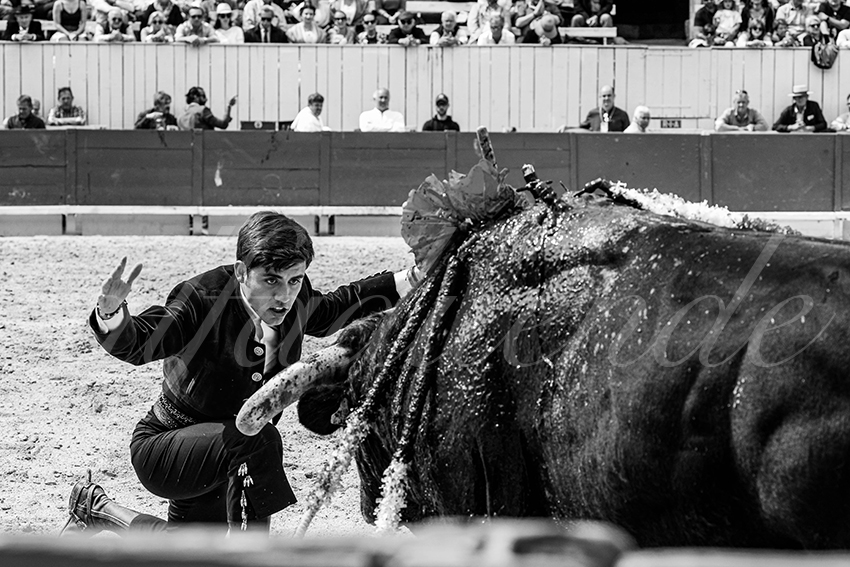 20230410 rejoneo arles 012