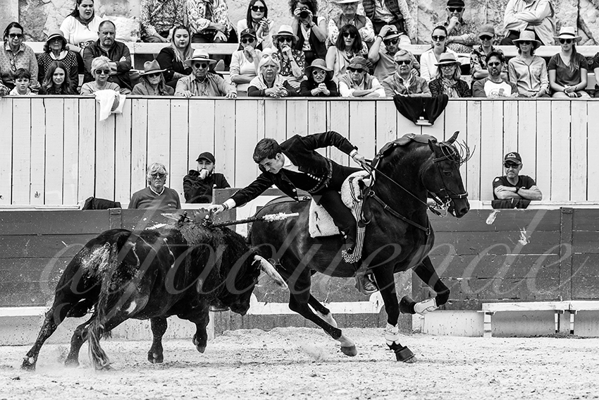 20230410 rejoneo arles 011