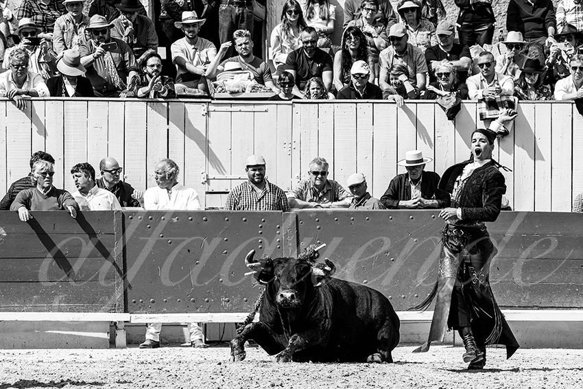 20230410 rejoneo arles 010