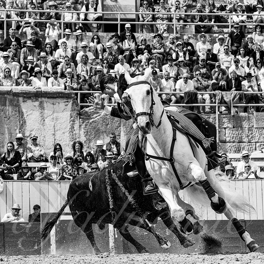 20230410 rejoneo arles 008