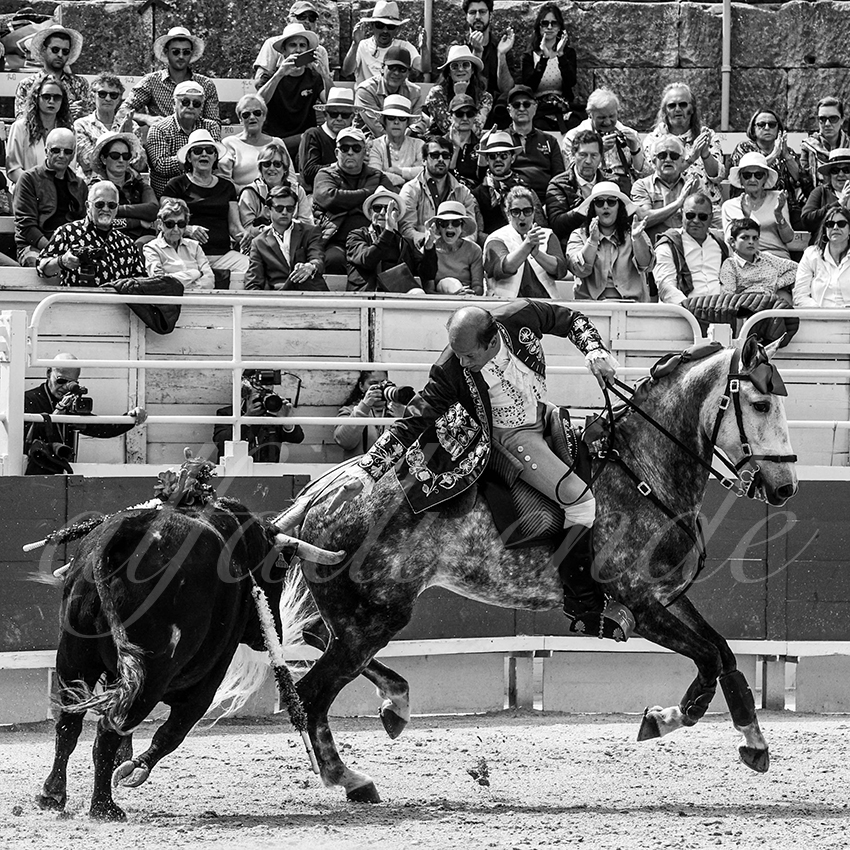 20230410 rejoneo arles 003