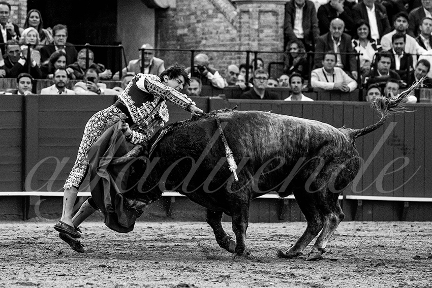 20230421 sevilla 015