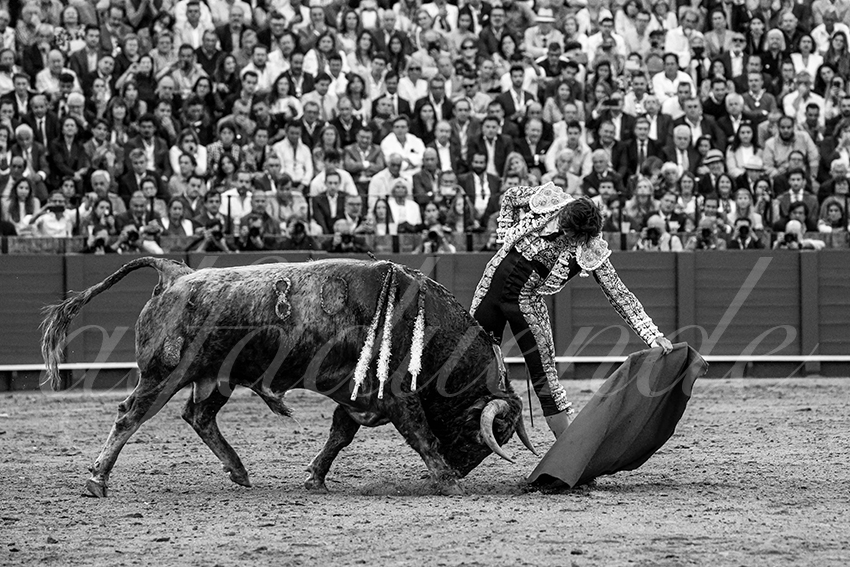 20230421 sevilla 013