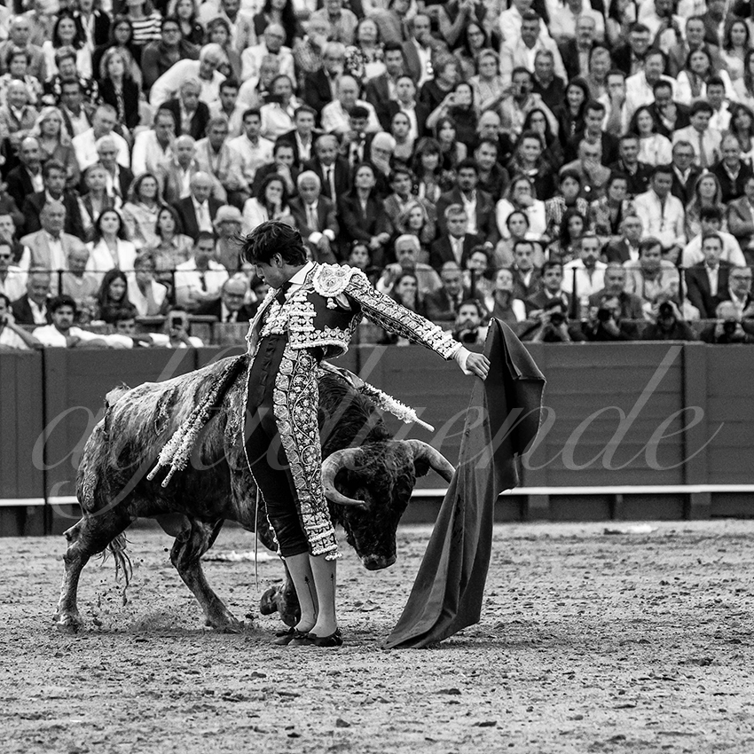 20230421 sevilla 012