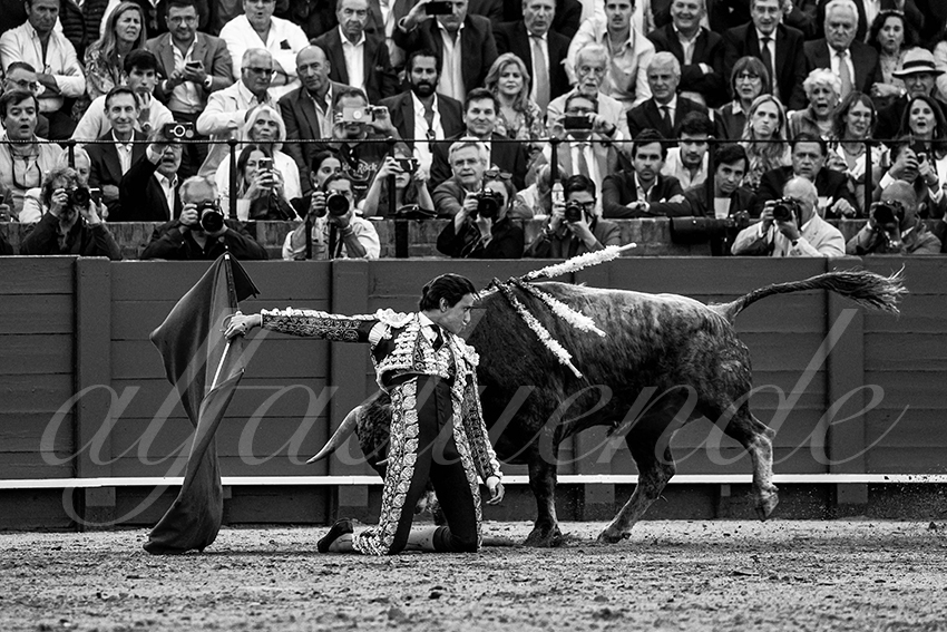 20230421 sevilla 011