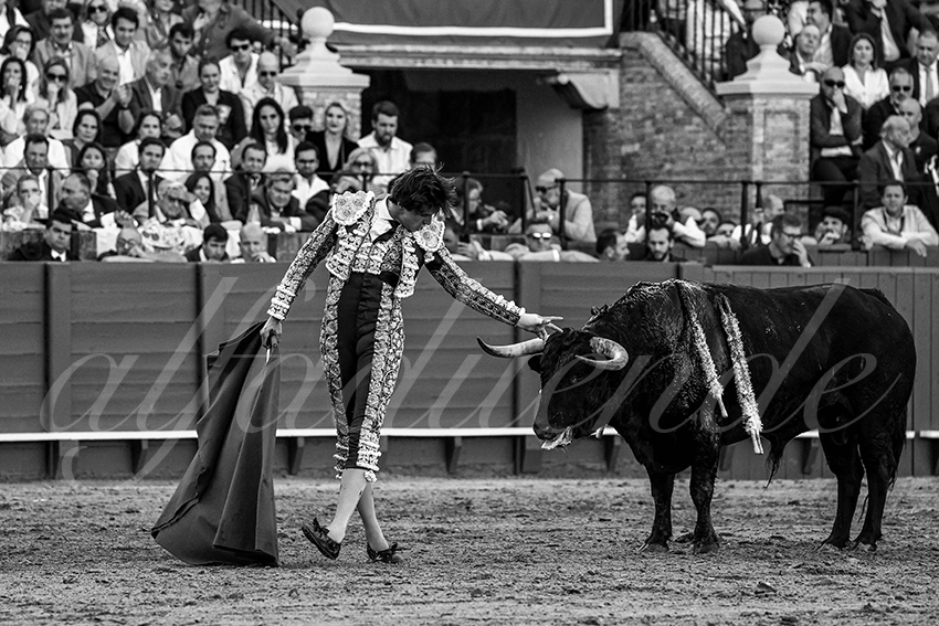 20230421 sevilla 010