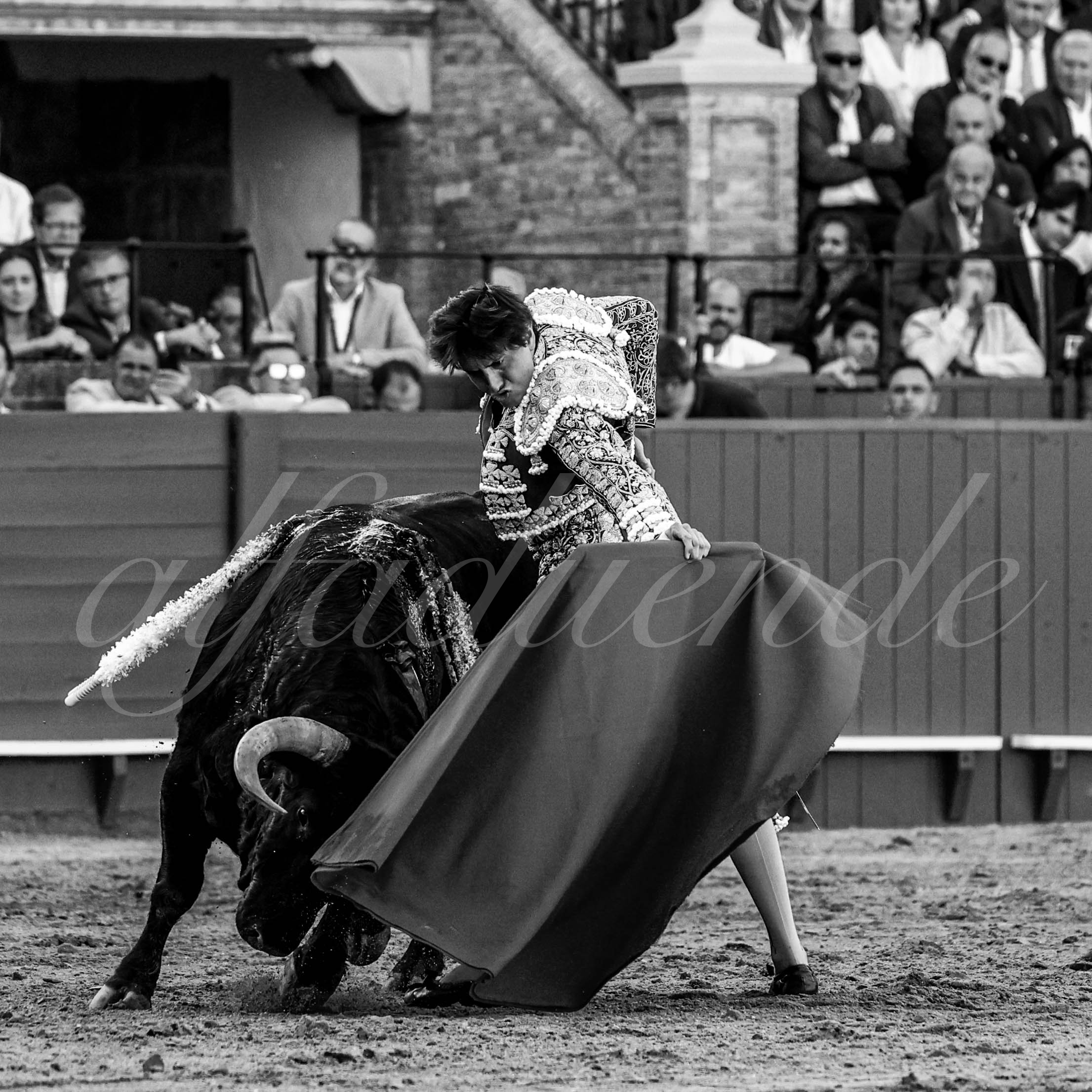 20230421 sevilla 008