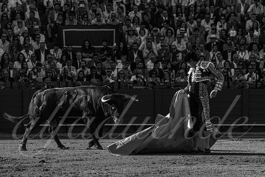 20230421 sevilla 007