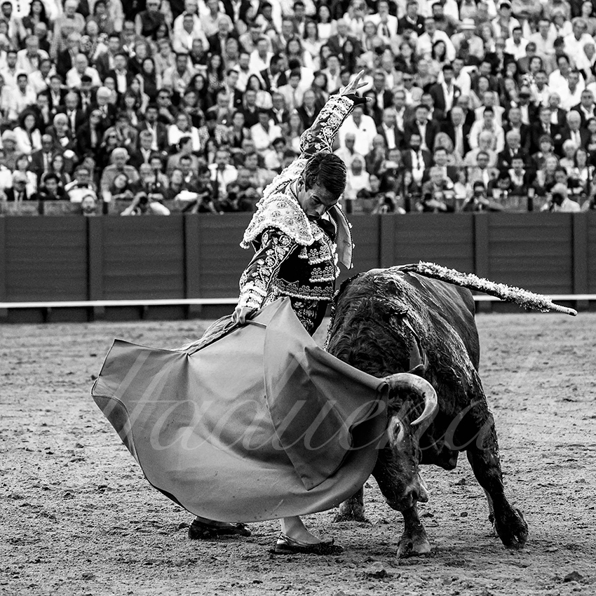 20230421 sevilla 006