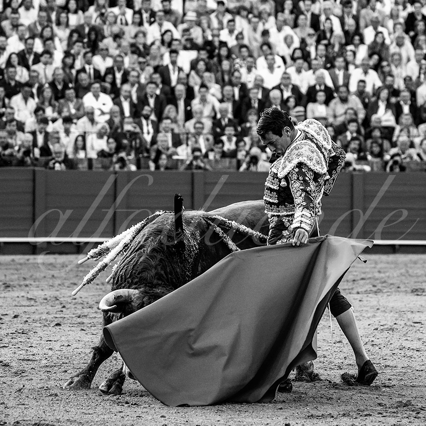 20230421 sevilla 005