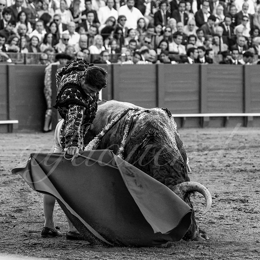 20230421 sevilla 004