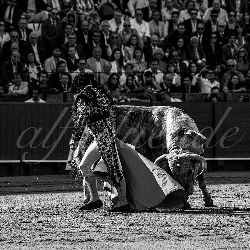 20230421 sevilla 003