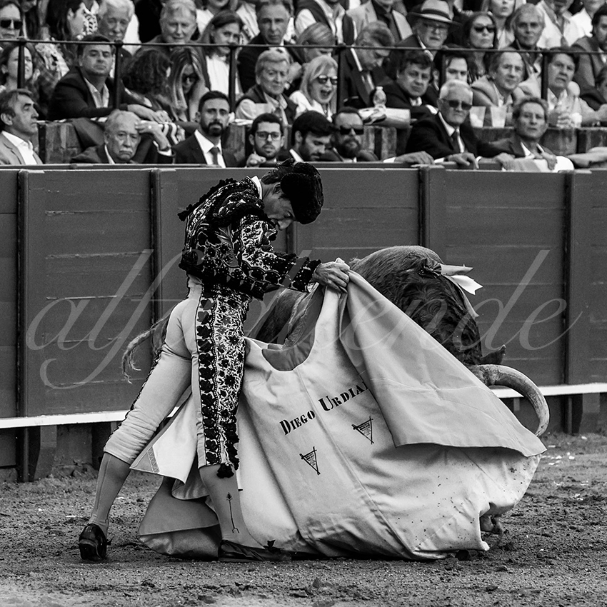 20230421 sevilla 002