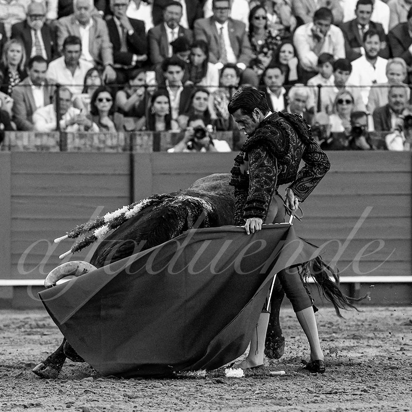 20230422 sevilla 018