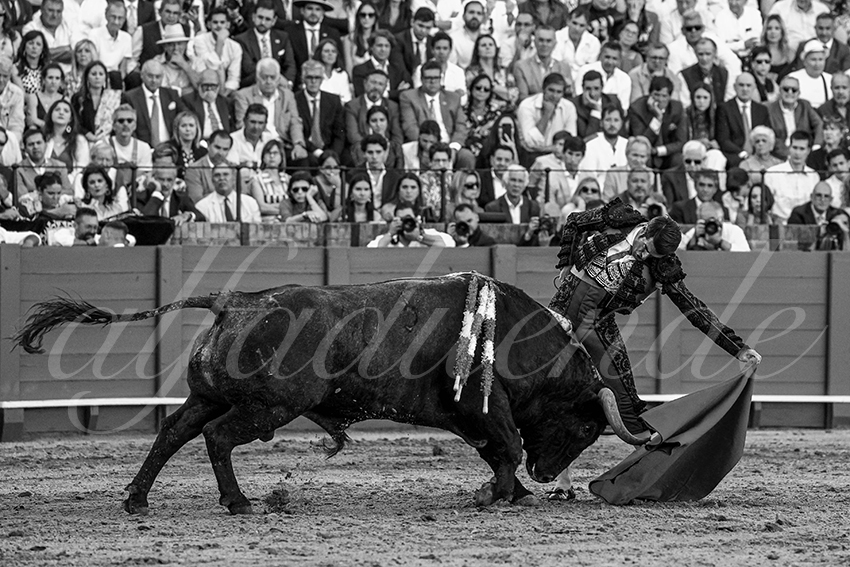 20230422 sevilla 017