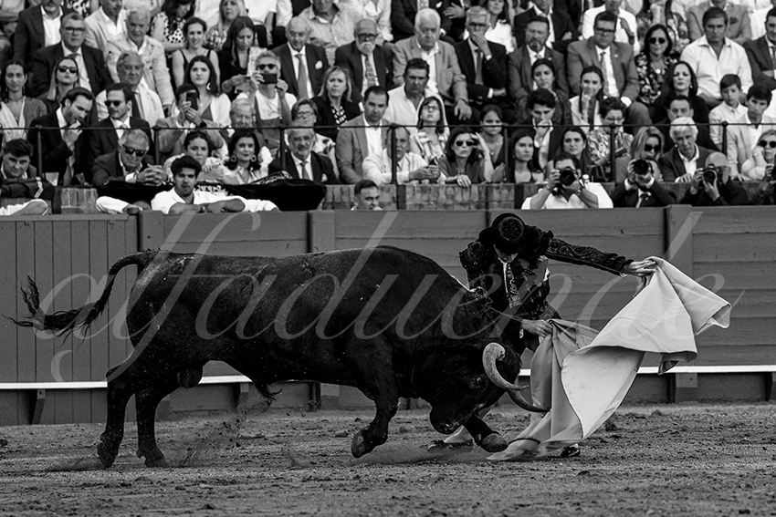 20230422 sevilla 016