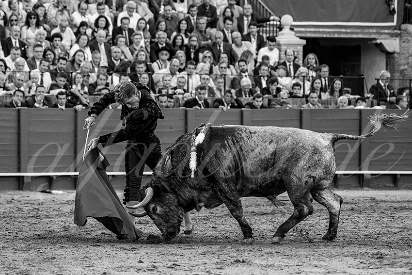 20230422 sevilla 014