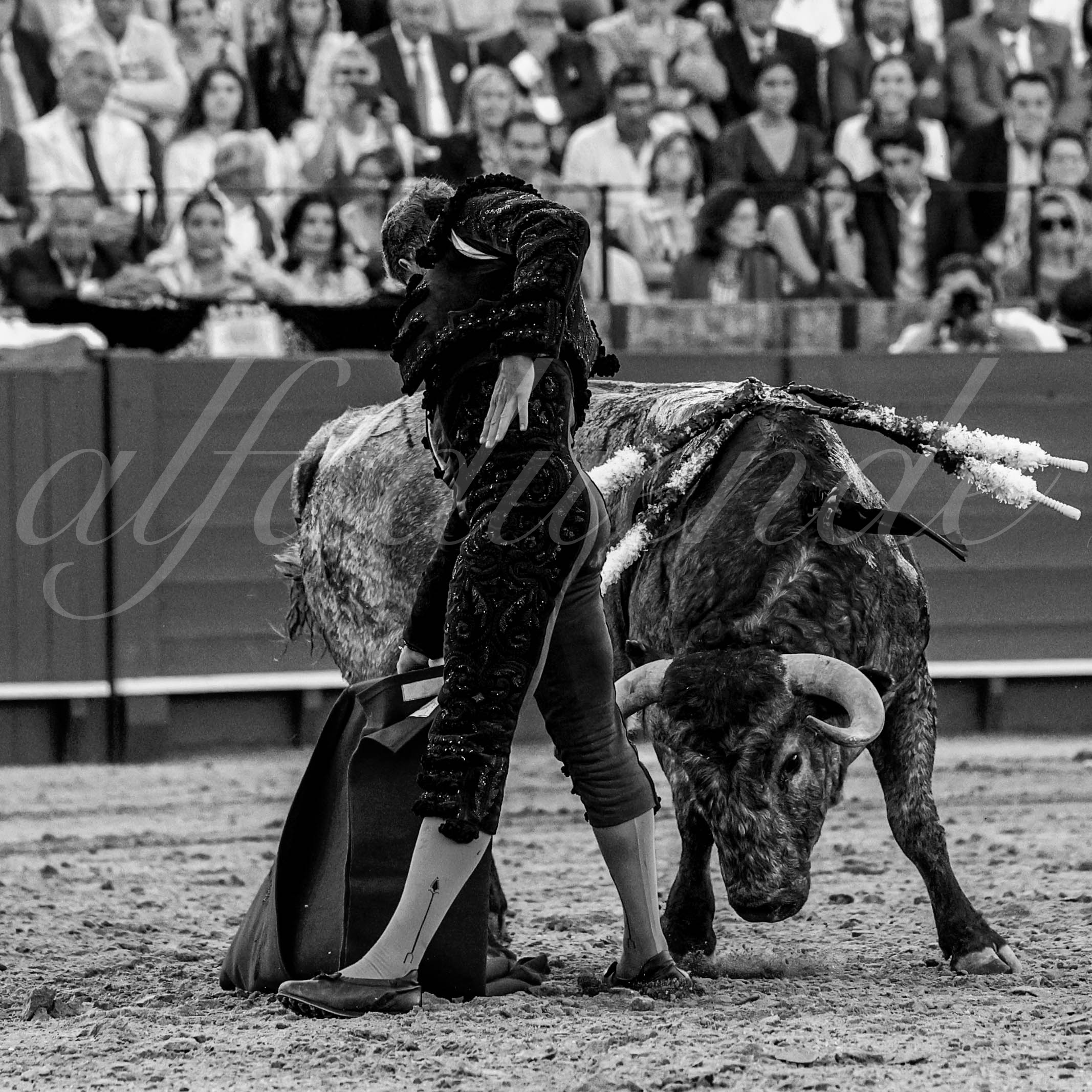 20230422 sevilla 012