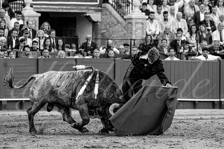 20230422 sevilla 011