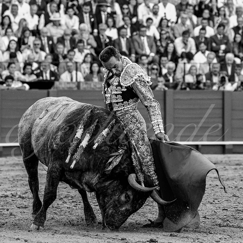 20230422 sevilla 007