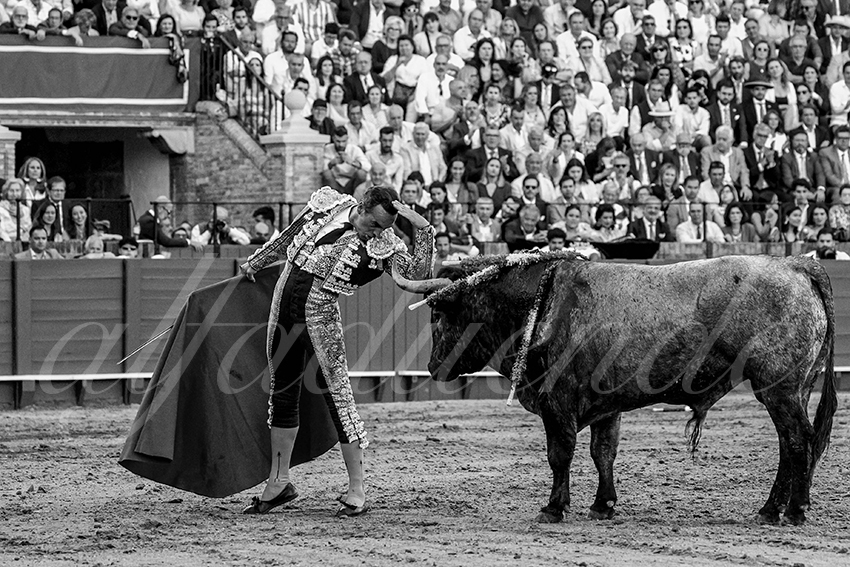 20230422 sevilla 006