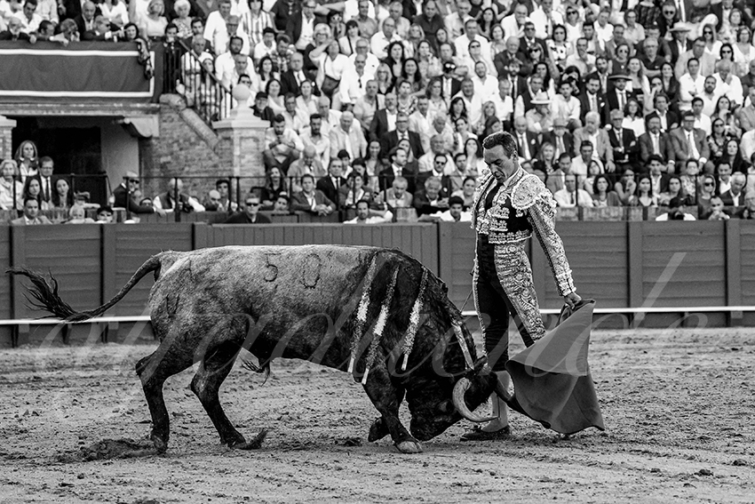 20230422 sevilla 005