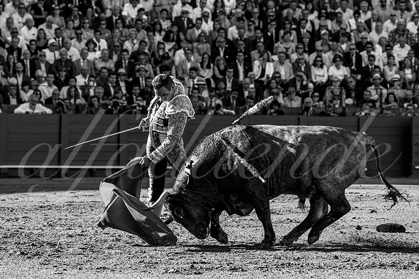 20230422 sevilla 002