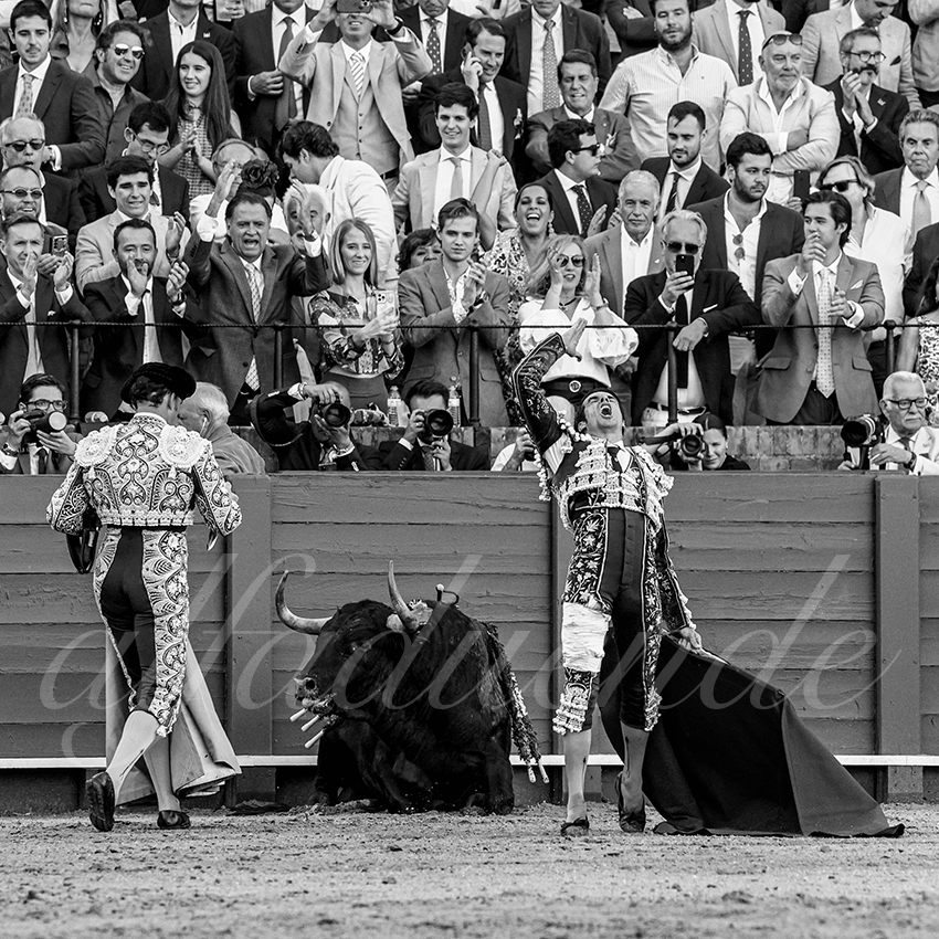 20230424 sevilla 024